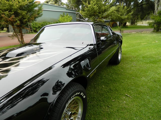 1977 Pontiac Trans Am 6.6L - Image 51162