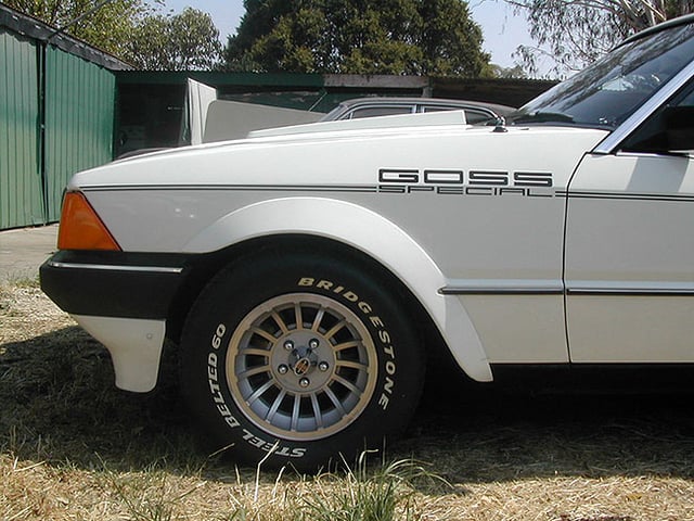 XD Falcon John Goss Special - Image 11698