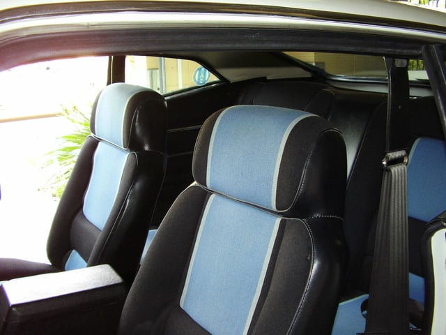 XC Falcon Cobra #171 - Image 18281