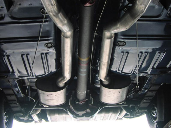 Mustang Mach 1 428 SCJ - Image 2961