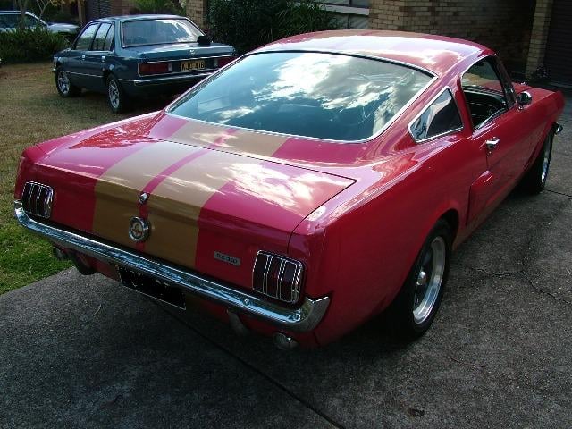 1966 Shelby GT 350H - Image 7725