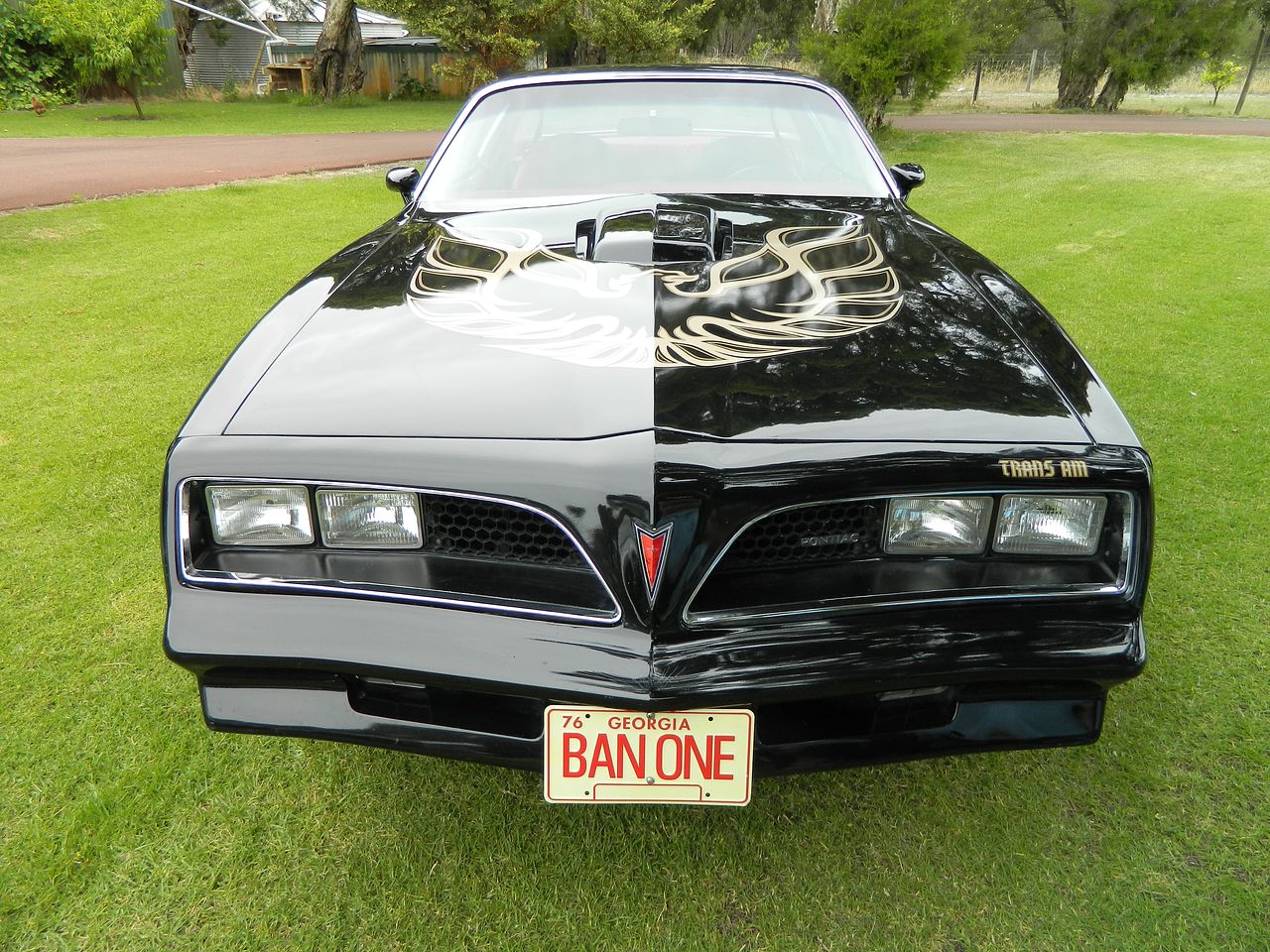 1977 Pontiac Trans Am 6.6L - Image 51155