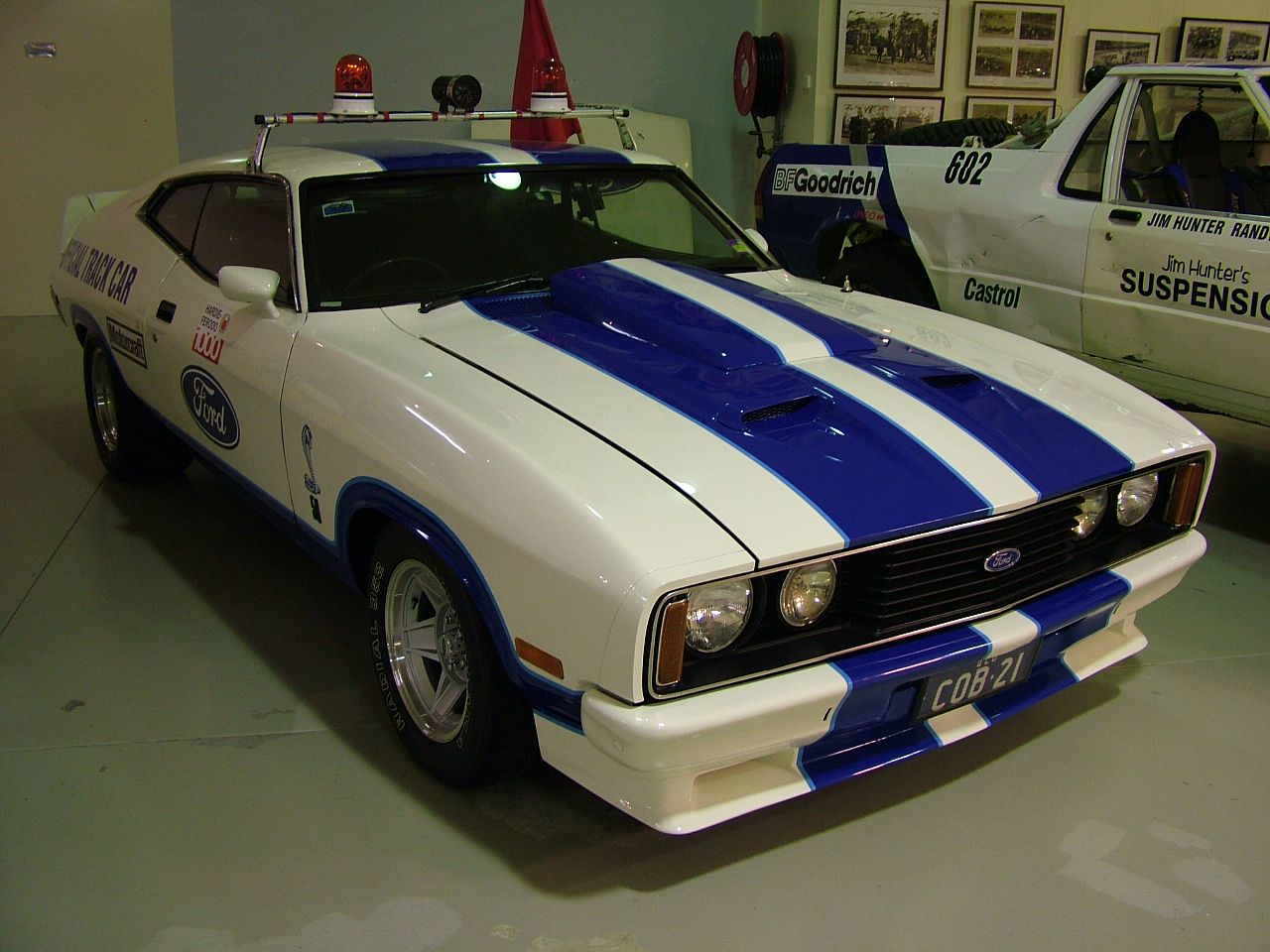 XC Falcon Cobra #21 - Image 24947