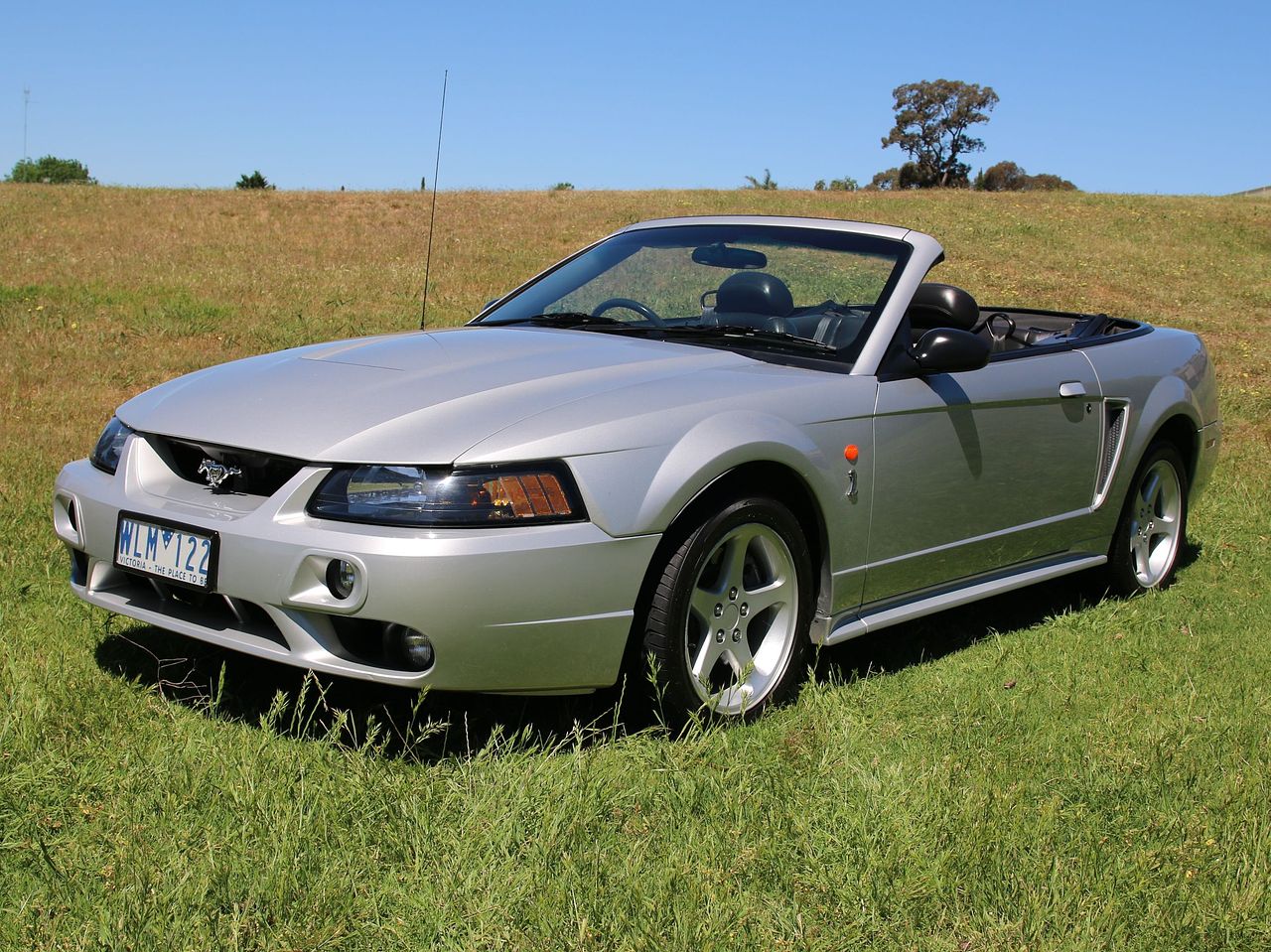2001 Ford Mustang Cobra - Australian Delivered - Image 111914