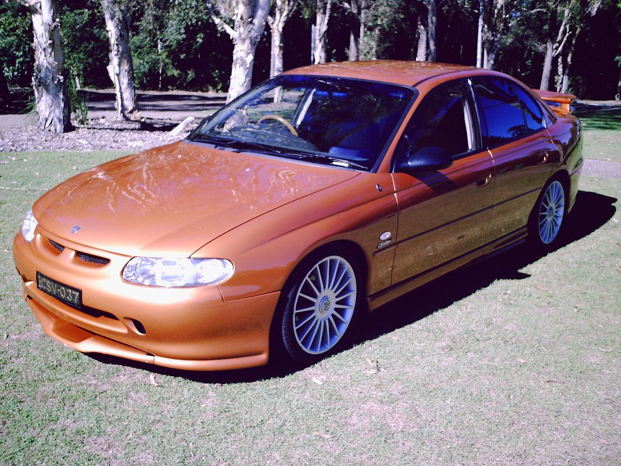 2000 VT CSV Corsa Strada # 37 - Image 43177