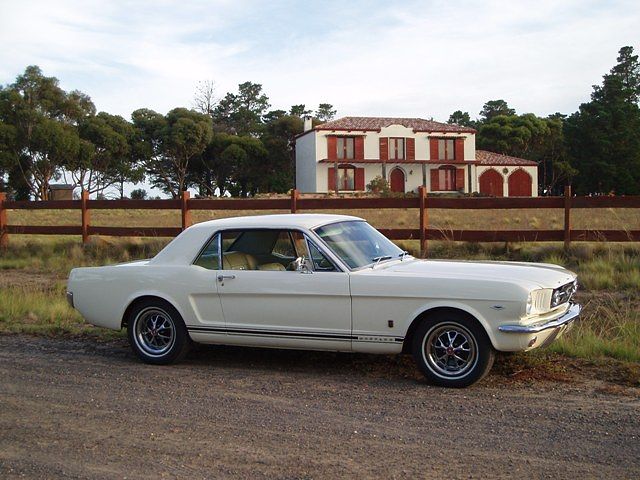 Ford Mustang GT - Image 7262